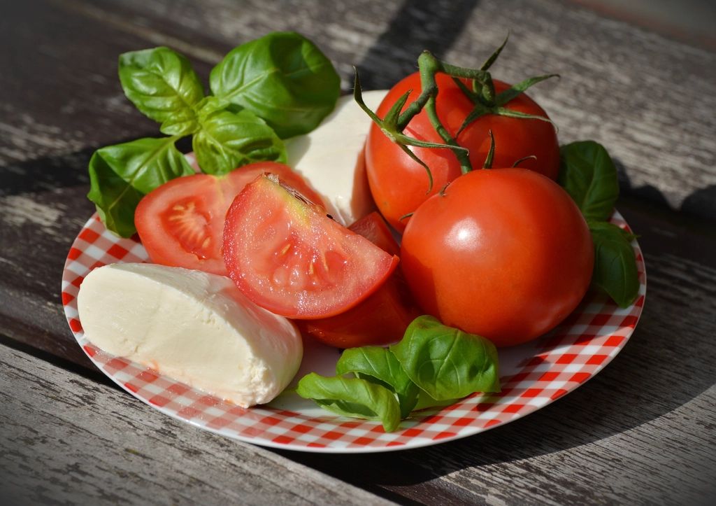 Tomates, mozzarella et basilic sur une nappe à carreaux